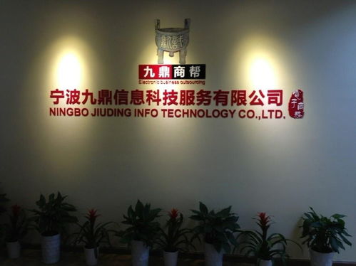 寧波九鼎信息科技服務 引領科技技術服務新浪潮