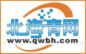 青蛙仔網(wǎng)絡(luò)代理 創(chuàng)新設(shè)計(jì)服務(wù)，開啟火爆招商新篇章